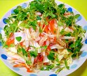 白菜とツナ豆苗の和風サラダ